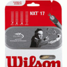 Wilson NXT 17