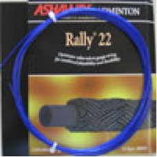 Rally 22